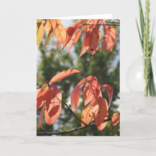 Autumn Leaves Kaart