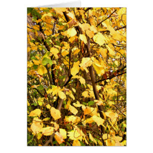 AUTUMN LEAVES KAART