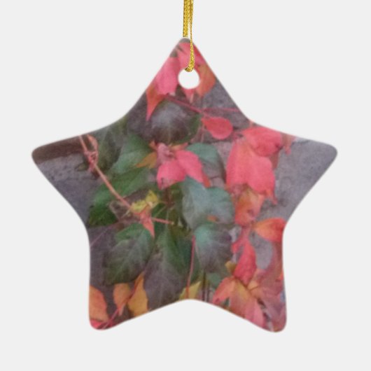 Autumn Leaves Keramisch Ornament (Achterkant)