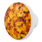 Autumn Leaves Keramische Knop (Rechts)