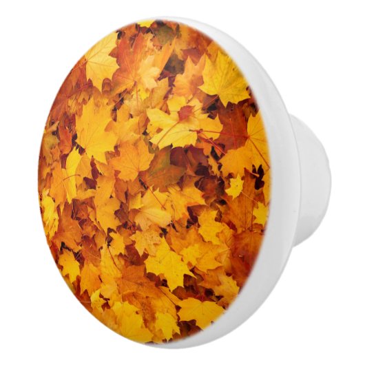 Autumn Leaves Keramische Knop (Rechts)