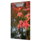 Autumn Leaves Klembord (Links)