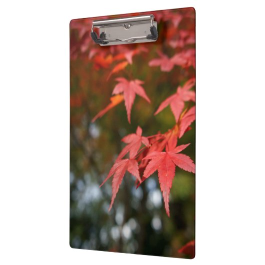 Autumn Leaves Klembord (Links)