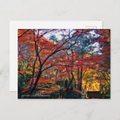 Autumn Leaves: Kourannkei [Postcard] Briefkaart (Voorkant / Achterkant)