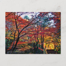 Autumn Leaves: Kourannkei [Postcard] Briefkaart