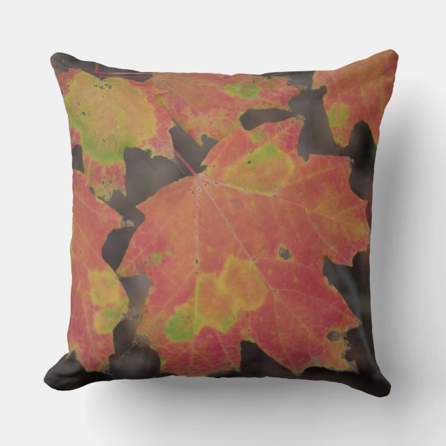 Autumn Leaves Kussen (Voorkant)