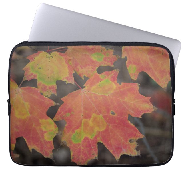 Autumn Leaves Laptop Sleeve (Voorkant)