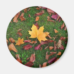 Autumn Leaves Magneet