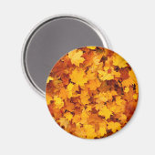 Autumn Leaves Magneet (Voorkant / Achterkant)