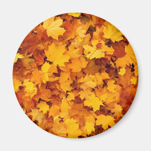 Autumn Leaves Magneet (Voorkant)