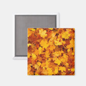 Autumn Leaves Magneet (Voorkant / Achterkant)