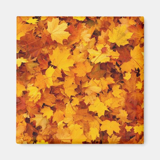 Autumn Leaves Magneet (Voorkant)