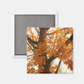 Autumn Leaves Magneet (Voorkant / Achterkant)