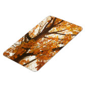 Autumn Leaves Magneet (Linkerzijde)