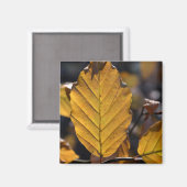 Autumn Leaves Magnet (Voorkant / Achterkant)
