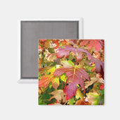 'Autumn Leaves' Magnet (Voorkant / Achterkant)