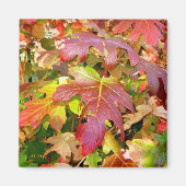 'Autumn Leaves' Magnet (Voorkant)