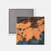 Autumn Leaves Magnet (Voorkant / Achterkant)