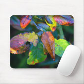 Autumn Leaves Mousemat Muismat (Met muis)