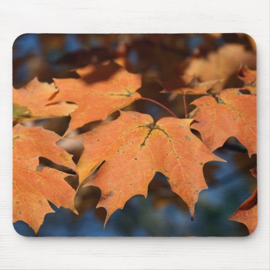 Autumn Leaves Mousepad Muismat (Voorkant)