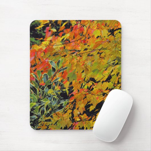 Autumn Leaves Muismat (Met muis)