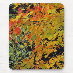 Autumn Leaves Muismat