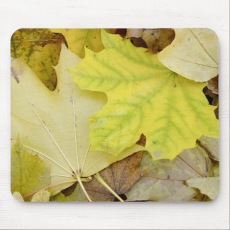 Autumn Leaves Muismat