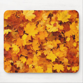 Autumn Leaves Muismat