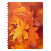 Autumn Leaves Notitieboek (Voorkant)