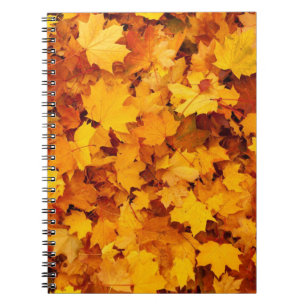 Autumn Leaves Notitieboek