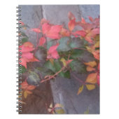 Autumn Leaves Notitieboek (Voorkant)