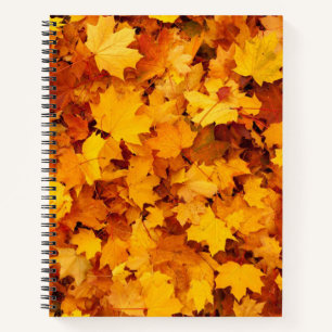 Autumn Leaves Notitieboek
