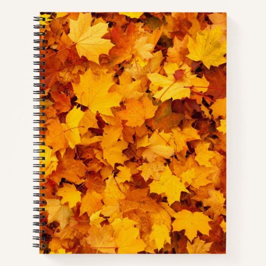 Autumn Leaves Notitieboek (Voorkant)