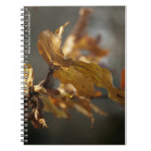 Autumn Leaves Notitieboek (Voorkant)