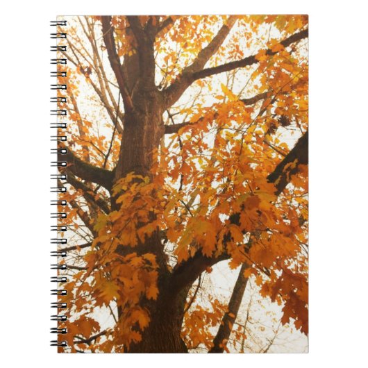 Autumn Leaves Notitieboek (Voorkant)