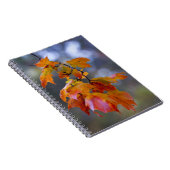 Autumn Leaves Notitieboek (Rechterzijde)