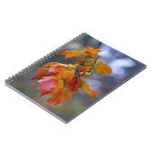 Autumn Leaves Notitieboek (Linkerzijde)