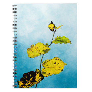 Autumn Leaves Notitieboek