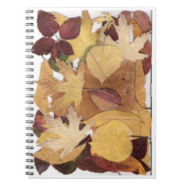 Autumn Leaves Notitieboek