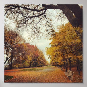 Autumn Leaves NYC Riverside Park New York Herfst A Poster