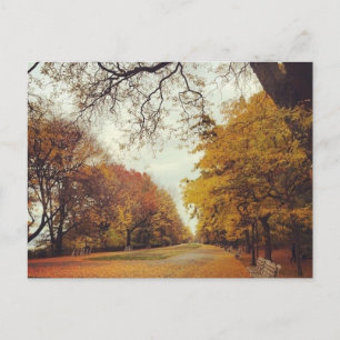 Autumn Leaves NYC Riverside Park New York Herfst Briefkaart