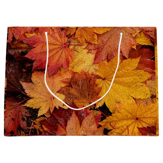 AUTUMN LEAVES OF GOLD GROOT CADEAUZAKJE (Voorkant)