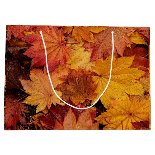 AUTUMN LEAVES OF GOLD GROOT CADEAUZAKJE (Achterkant)