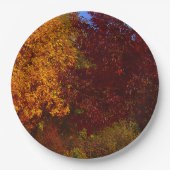 Autumn Leaves of Yellow and Paars, ZSSPG Papieren Bordje (Voorkant)