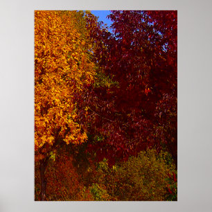 Autumn Leaves of Yellow and Paars, ZSSPG Poster