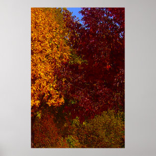 Autumn Leaves of Yellow and Paars, ZSSPG Poster