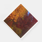 Autumn Leaves of Yellow and Paars, ZSSPG Servet (Hoek)