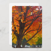 Autumn Leaves of Yellow Oranje Kaart (Voorkant / Achterkant)