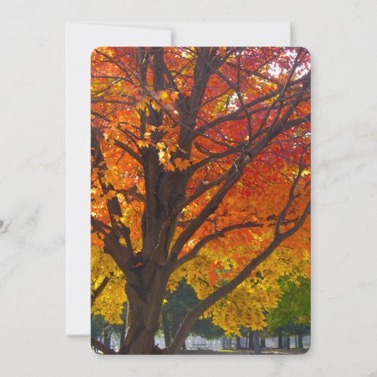 Autumn Leaves of Yellow Oranje Kaart (Voorkant)