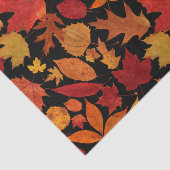 Autumn Leaves op Black Tissuepapier (Detail)